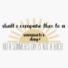 Nick Miller Summer's Day Quote Bumper Sticker Vinyl Decal 5