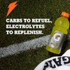 Gatorade Thirst Quencher, Glacier Freeze, 12 Fl Oz (Pack of