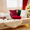 EMEMA Pack of 2 Velvet Christmas Throw Pillow Covers Decorative