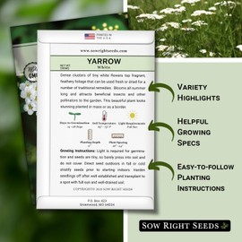 Sow Right Seeds - Common White Yarrow Seeds for Planting - Non-GMO Heirloom Packet with Instructions to Grow an Outdoor Flower Garden - Medicinal Herb & Native Wildflower - Perennial Achillea (1)