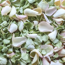 Petals and Roses Freeze Dried Hydrangea & Rose Petal Confetti | Natural & Biodegradable for Weddings, Botanical Garden, 2 Litres