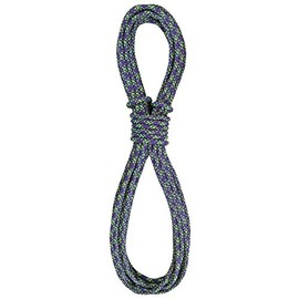 Sterling Ropes 5.9mm PowerCord - Purple 18ft