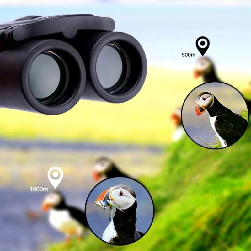 Zoom Powerful Binoculars Protable HD Night Optics Hunting Outdoor Day