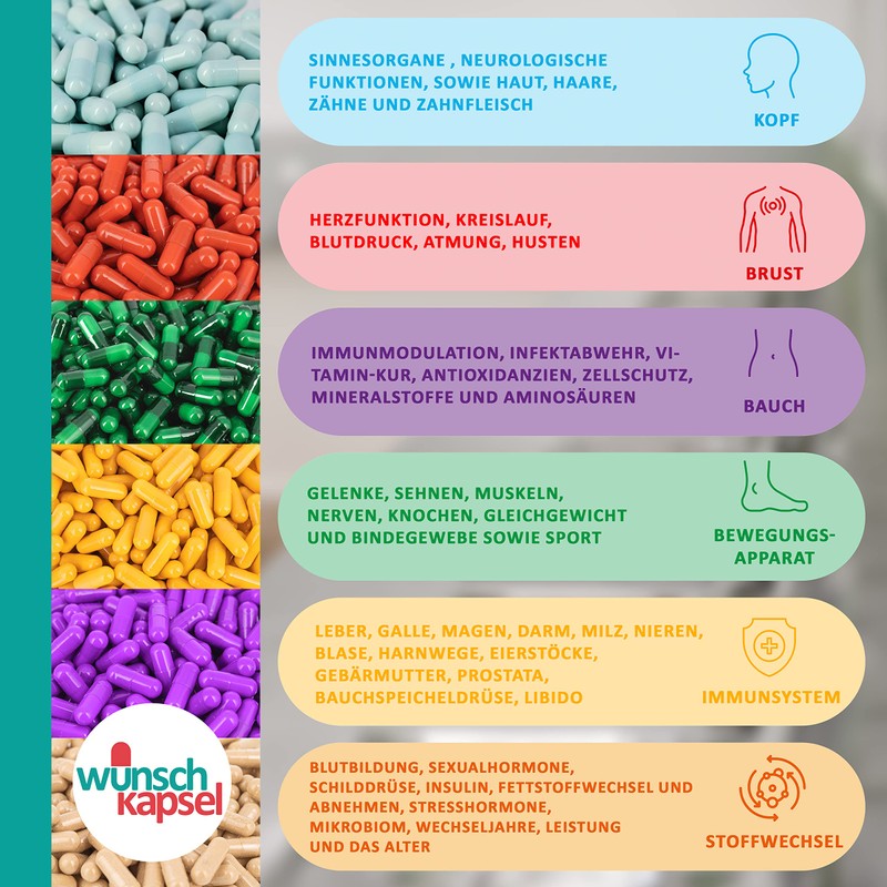 Wunschkapsel Microbiom Premium Supplement, Actively Supports the Intestinal Flora, with
