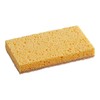 Cellulose Sponge with Natural Sisal Scouring Pad, 6 x 3.5