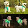 Light Up Dog Harness,Rechargeable LED Dog Harness for Small Medium