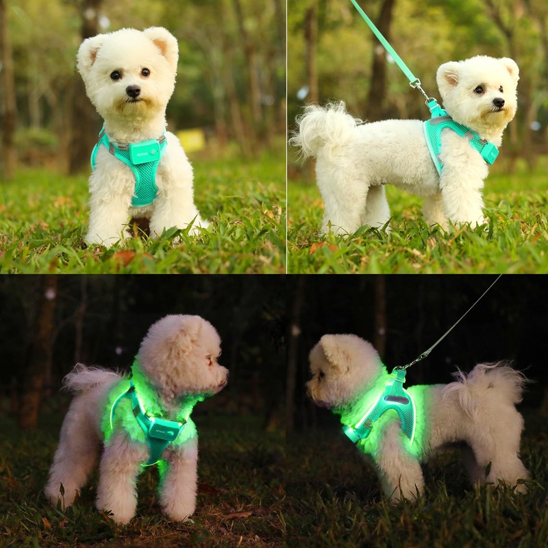 Light Up Dog Harness,Rechargeable LED Dog Harness for Small Medium