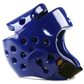 Pine Tree Complete Cloth Martial Arts Sparring Gear Set with Bag, Medium Blue Headgear, Medium Other Gears