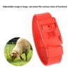 10Pcs Goat Collar Sheep Identification Bands Livestock Marking Ring Farming