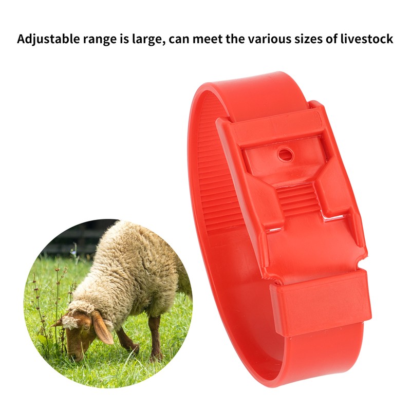 10Pcs Goat Collar Sheep Identification Bands Livestock Marking Ring Farming