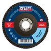 Sealey Zirconium Flap Disc Ø100mm Ø16mm Bore 60Grit - FD10060