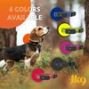 Weenect Dog XT - NEW GPS Collar for Dogs |