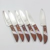 Thai Kitchen Steak Knives Stainless Steel Knives Kiwi 503 6