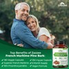 Zazzee Extra Strength French Maritime Pine Bark Extract 20:1, 350