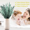 FUKUOKA Bulk Package 30 PCS Real Dried Eucalyptus Plant Large
