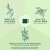Té de tulsi orgánico, comercio justo, orgánico