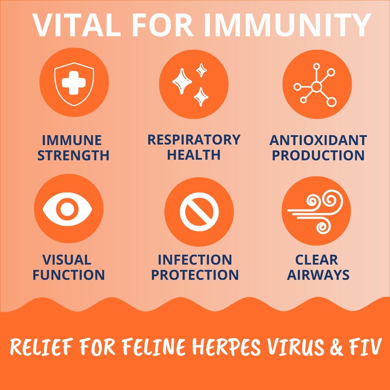 Under the Weather Pet Daily Cat L-Lysine | Boost Immune