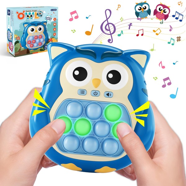 Blue Owl Sensory Pop Fidget Toys for Kids 3-12,Handheld Game
