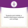 Natural Factors, OsteoMove Joint Care, Extra Strength Support for Joint