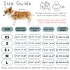 Luccalily Dog Rain Jacket with Hood for Small Medium Dog,Waterproof