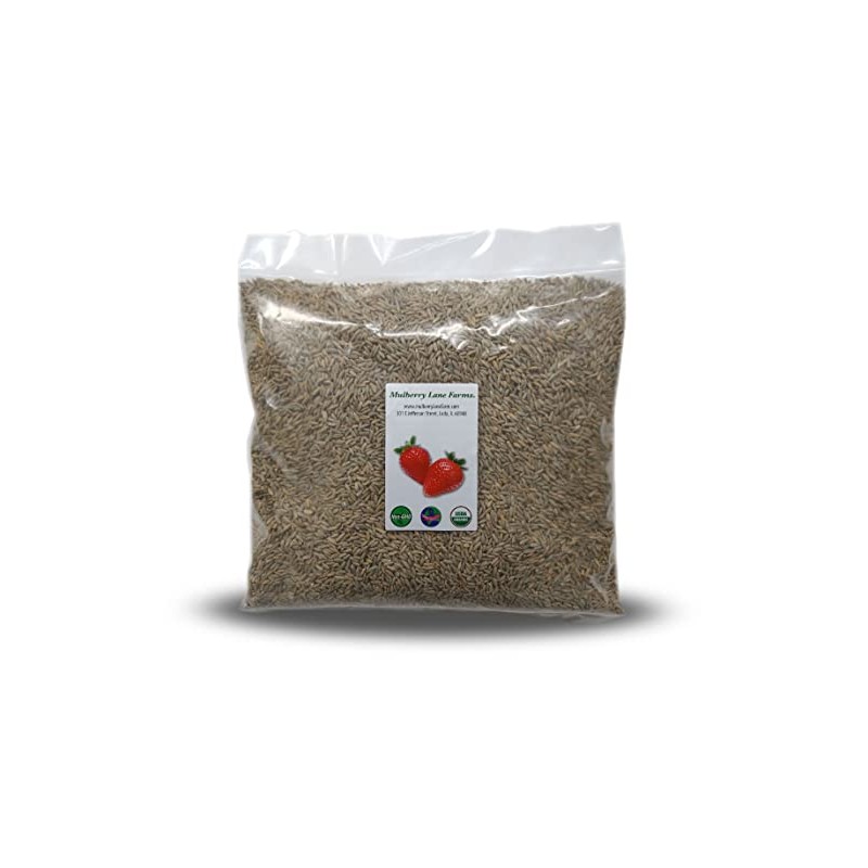 Rye Berries, 5 Pounds USDA Certified Organic, Non-GMO Bulk, Product