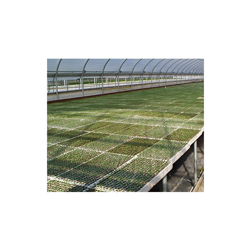 RSI Hydroponic Seed Trays 128 Plugs, 2 Pack