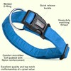 Dogline M8004-2 Collar de Microfibra, Mediano, Azul