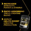 PVL Creatine X8 - Advanced Creatine Multiplier - creatine monohydrate