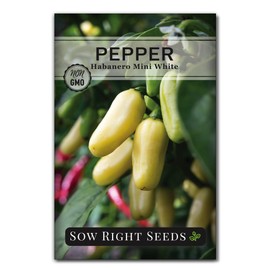 Sow Right Seeds - Habanero White Mini Pepper Seeds for Planting - Non-GMO Heirloom Packet with Instructions to Plant and Grow a Home Vegetable Garden - Super Hot Chili - High Scoville Rating (1)