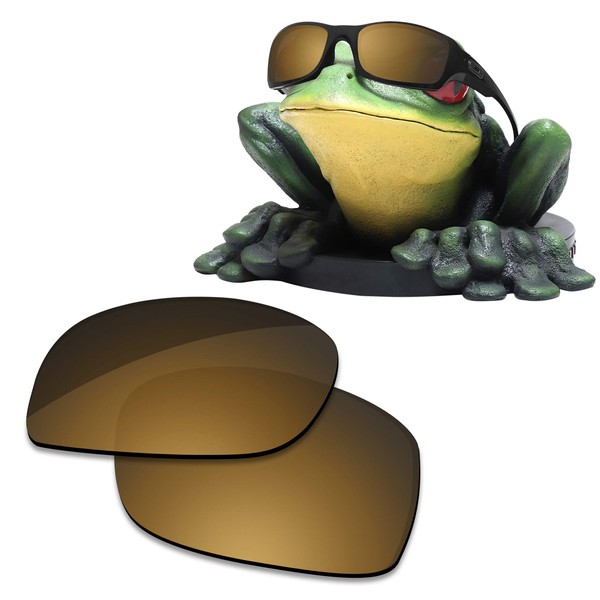 Acefrog AR Coated Polarized Replacement Lenses/Nose Piece for Oakley Fives