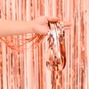 2 Pcs Rose Gold Metallic Tinsel Foil Fringe Curtains Backdrop,