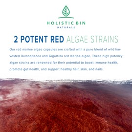 Holistic Bin Red Marine Algae Capsules Gigartina and Dumontiacea Red Algae Supplements | Gluten Free, Vegan, Wild Harvested | Rich in Vegan Omega 3 (40 Capsules)