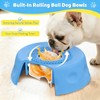 Slow Feeder Dog Bowls for Liquid Treats, Ball-in Interactive Bone