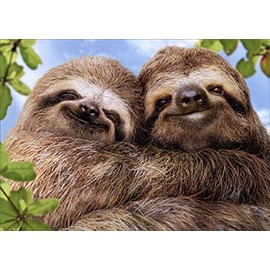 Sloth Couple Funny/Humorous Valentine's Day Card