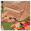 Lowe's 10-Pack LOWES Heavy Duty Large 30-Gallon Paper Outdoor Lawn