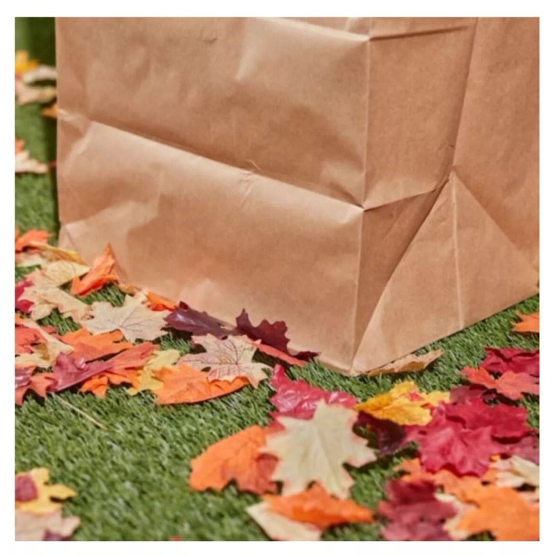 Lowe's 10-Pack LOWES Heavy Duty Large 30-Gallon Paper Outdoor Lawn