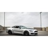 Mustang 2015 - 2021 Mustang Roush Badge - P51 Style