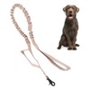 Heavy Duty Bungee Dog Leash Elastic Leads Rope with 2