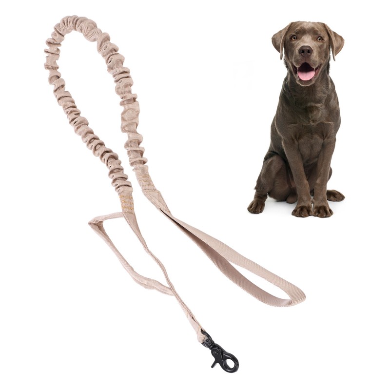 Heavy Duty Bungee Dog Leash Elastic Leads Rope with 2