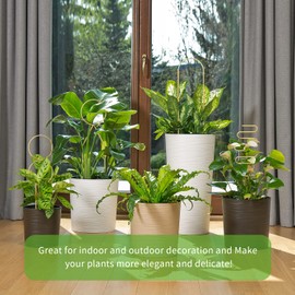 4 Pcs Small Metal Trellis for Potted Plants,Gold Trellis for Climbing Plants Indoor,Small Trellis for Potted Plants Support Stake House Plant Trellis for Garden Potted Plant,Hoya,Pothos,Flower