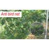 LXGKREL Bird Protection Net Chicken Net Garden Net Poultry Net