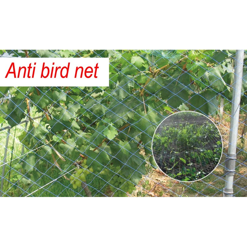 LXGKREL Bird Protection Net Chicken Net Garden Net Poultry Net