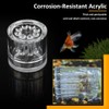 4 Pack Planaria Catch Trap Aquarium Snail Leech Clear Glass