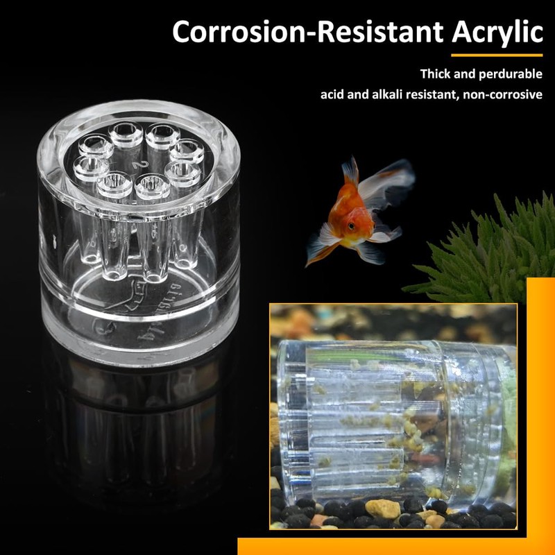 4 Pack Planaria Catch Trap Aquarium Snail Leech Clear Glass
