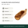 HOFMEISTER® Olive Wood Scoop 9 cm