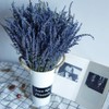 TooGet Natural Lavender Bundles, 200 Freshly Harvested Dried Stems Lavender