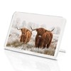 Highland Cow Classic Fridge Magnet - Cattle Scotland Fluffy Bull