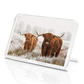 Highland Cow Classic Fridge Magnet - Cattle Scotland Fluffy Bull Fun #14591