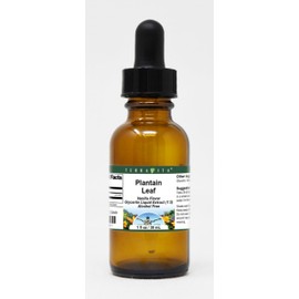 Plantain Leaf Glycerite Liquid Extract (1:5) - Vanilla Flavored (1 oz, ZIN: 522849)