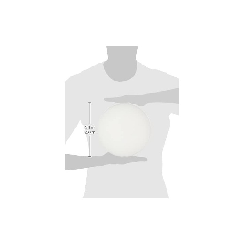 Westinghouse Lighting Opal Frosted Drum Shade, 22.2 cm - White